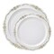 Smarty Had A Party White w/Gold Vintage Rim Round Plastic Dinnerware Set (120 Dinner Plates + 120 Salad Plates), 240PK 860GVP-CASE - alternate 4
